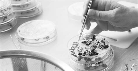 Image result for Seed Testing Lab