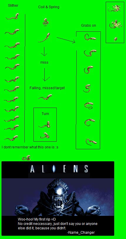 Image result for Alien vs Predator Chestburster