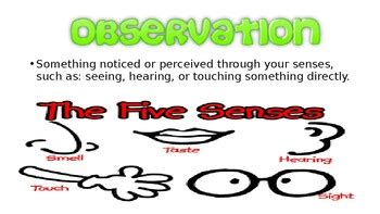 Inference Observation 的图像结果