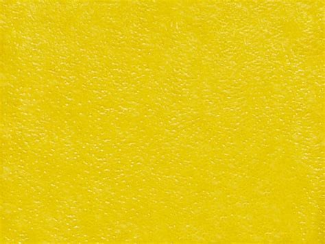 Image result for Lemon Rind Texture