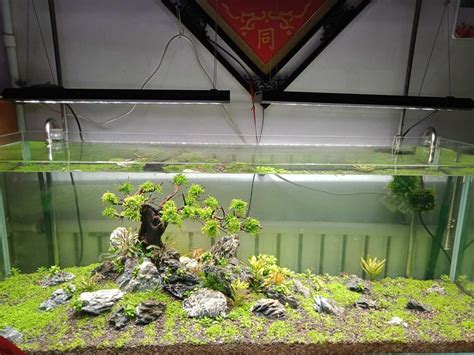 水草灯 能用灯带吗 水草灯怎么选22已更新 今日 更新 Led灯带