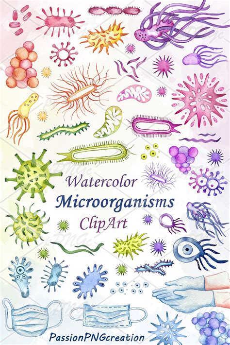 Class 8 Chapter Summaries 的图像结果