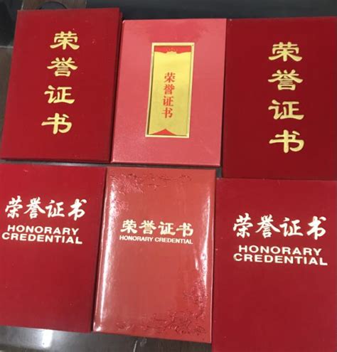 重庆艺术工程职业学院--荣誉证书