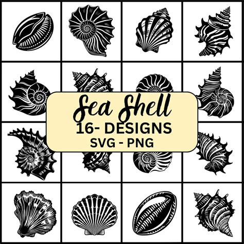 Image result for SeaShell SVG