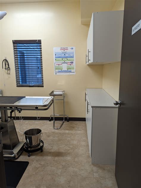 Fort Erie Spay and Neuter Clinic with Basic Care services | 410 Jarvis ...