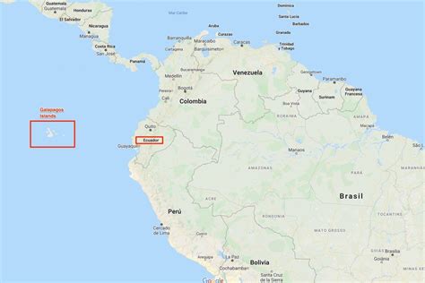 How to visit the Galapagos Islands on your own, without a cruise: best ...