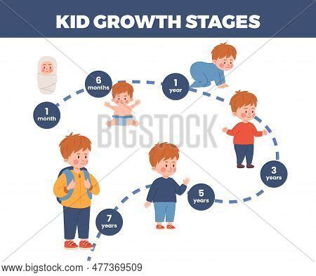 Image result for Human Development Stages Chart