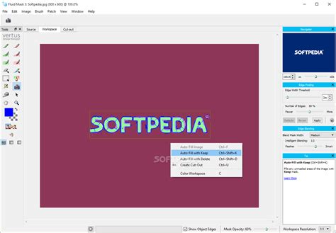 Image result for Vertus Fluid Mask Tutorial