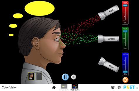 Image result for Color Vision