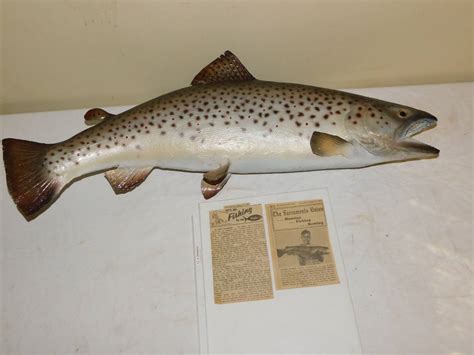 Lot 69 - Mounted 29” German Brown Trout from 1964 - Sac Valley Auctions