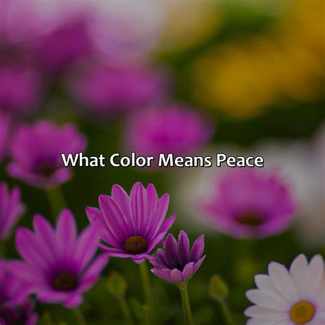 What Colors Represent Peace at Elaine Osborn blog