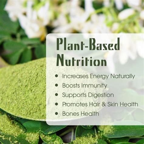 Holy Natural 100% Pure Moringa Powder - 250 GM Price in India - Buy ...