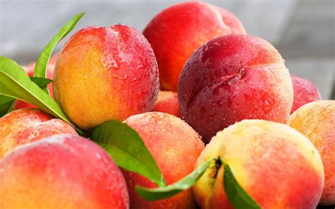 manfaat peach gum