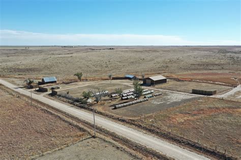 Sandcreek Cattle and Horse | Hayden Outdoors