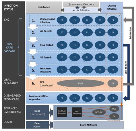 Bridging Hepatitis C Care Gaps: A Modeling Approach for Achieving the ...