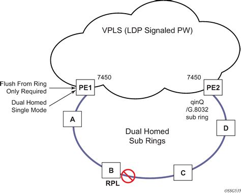 Protection Ring 的图像结果