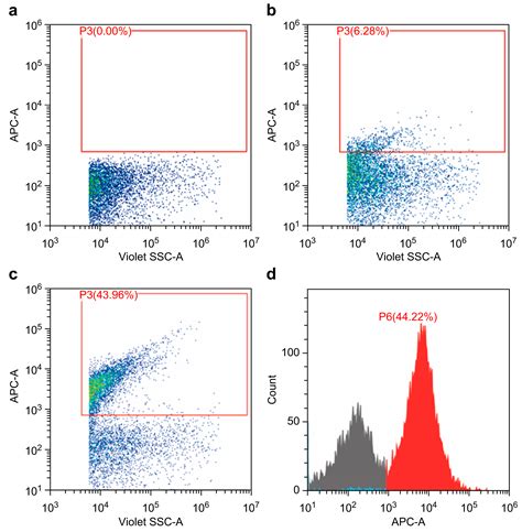 Exploring the Hemostatic Effects of Platelet Lysate-Derived Vesicles ...