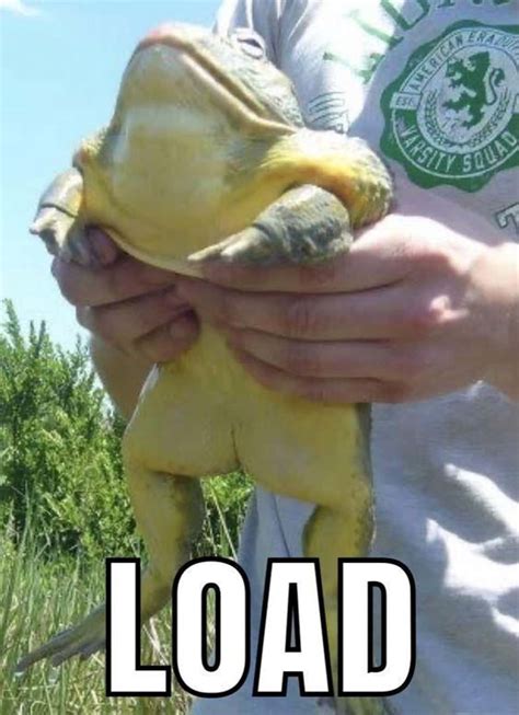 Toad's Mistake 的图像结果