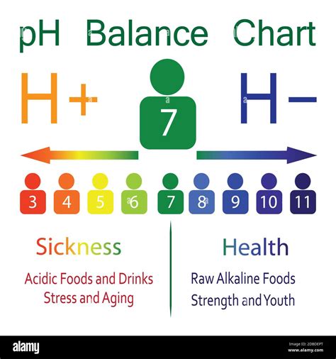 Human Body Ph Balance Chart