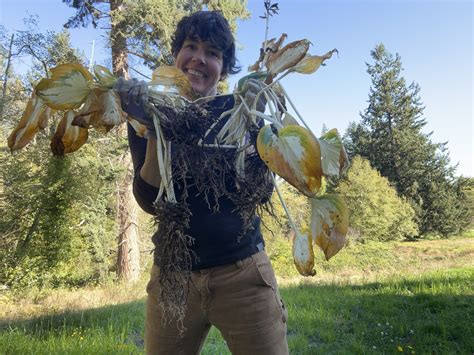 Episode 87: Perennial Division - Valley Nursery Inc.