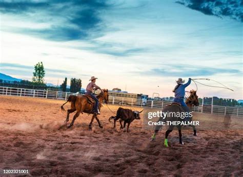 Image result for Team Roping Rodeo