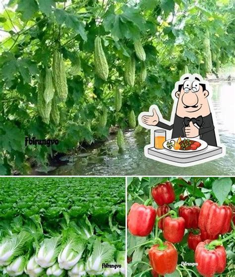 VARSHA GREEN FRUIT AND VEGETABLES, Vadodara - Restaurant menu, prices ...