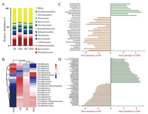 L-Cysteine Synthase Enhanced Sulfide Biotransformation in Subtropical ...