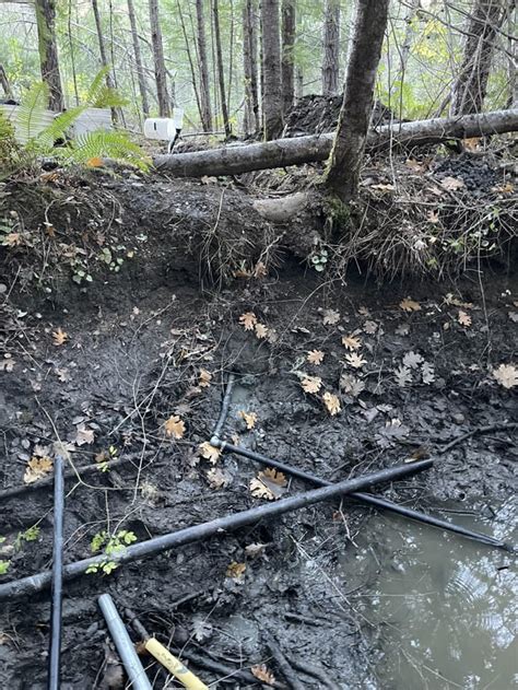 Image result for Tapping a Natural Spring