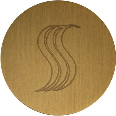 ThermaSol SVRD-AB SteamVection Round Brass Steam Head | Ferguson Home