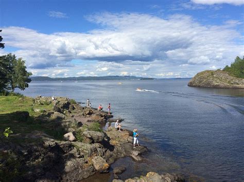 CABIN AT BORREVANNET (Horten) - Campground Reviews & Photos - Tripadvisor