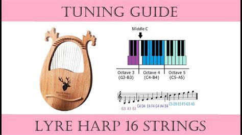 Rezultat imagine pentru Harp String Types