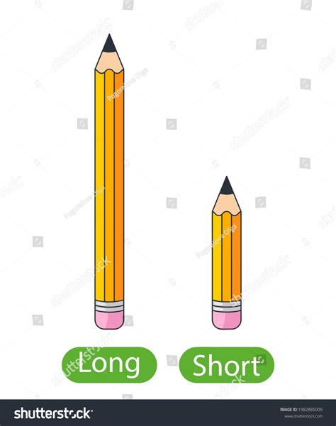 7,008 Long Short Cartoon Images, Stock Photos, 3D objects, & Vectors ...