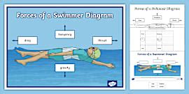 👉 Force Diagram Matching Mat