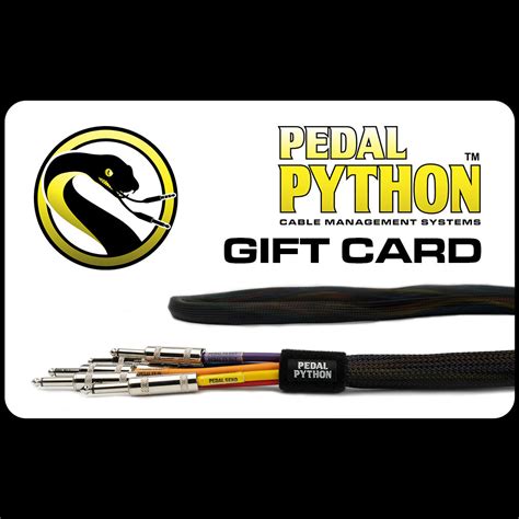 Image result for Python Gift