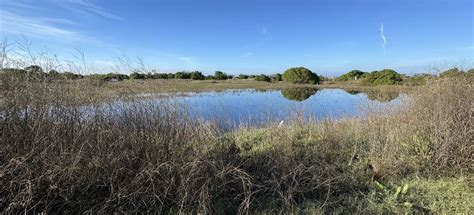 McGrath State Beach, California - 3 Reviews, Map | AllTrails