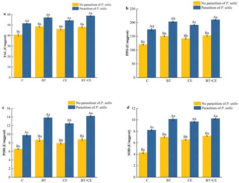 Claroideoglomus etunicatum and Bacillus thuringiensis Affect the Growth ...