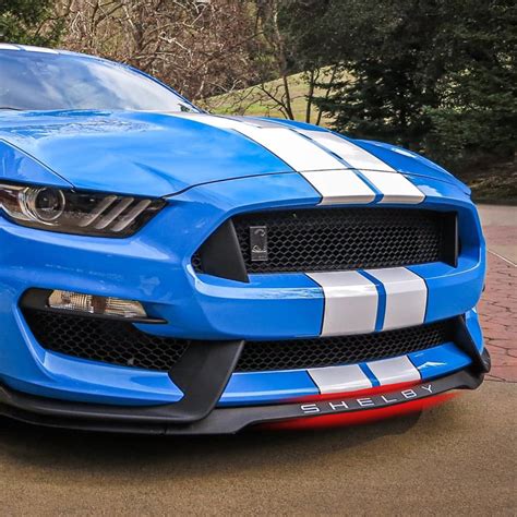 MEEAOTUMO Vinyl Decal Letters for Mustang Shelby GT350 - 2 India | Ubuy