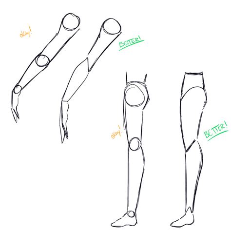 Sketching Tree Limbs 的图像结果