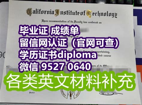 回国交代的毕业证,本科毕业证丢了怎么办国外文凭学位证书 学历 | PDF