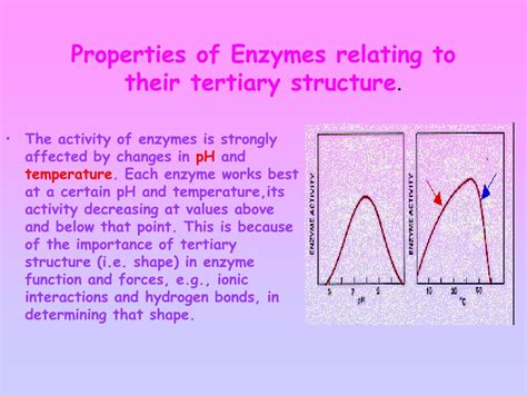 Enzyme Activity Process 的图像结果