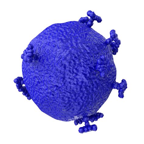 Image result for Computer Virus Transparent Background