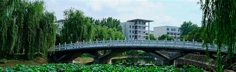 南阳理工学院2021年本科专业录取分数统计（河南）_腾讯新闻