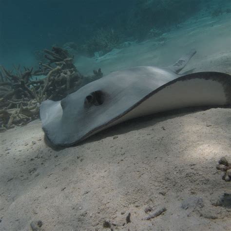 PASSION LAGON (2025) All You Need to Know BEFORE You Go (with Photos ...