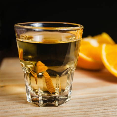 Mezcal Worm in a Bottle: DNA Testing Yields Unexpected Results | Chelle ...