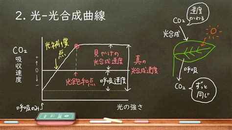 Learn OS Module Python From Beginning に対する画像結果