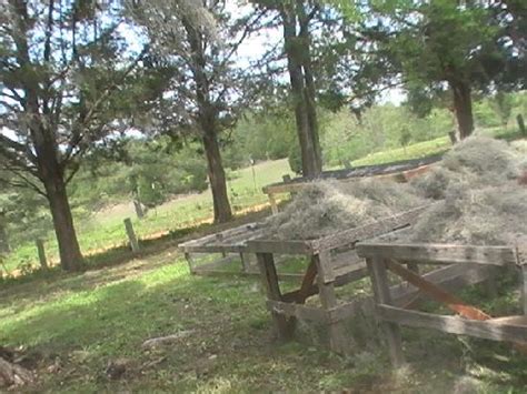 SPANISH MOSS BED AND BREAKFAST (Phoenix) - B&B Reviews & Photos ...