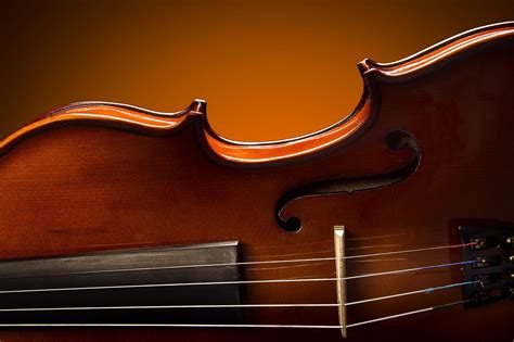 Image result for Viola String Instrument