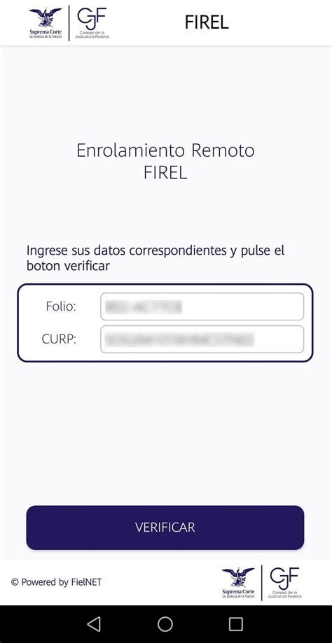 Tutorial Firel 的图像结果
