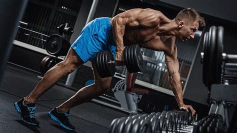 Image result for Muscle Building Workout Plan