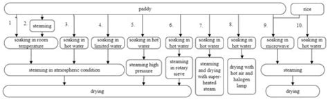 Parboiled Rice Processing Method, Rice Quality, Health Benefits ...